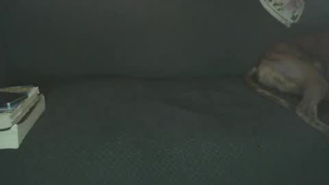 fred_spooner2 online show from February 22, 2:49 pm