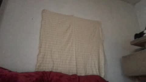 Freddy Foot Balls online show from April 14, 12:00 am