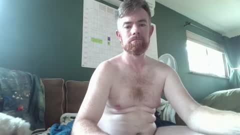 Freddy online show from August 7, 12:17 am