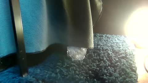 Greedy Fred online show from February 15, 4:45 pm