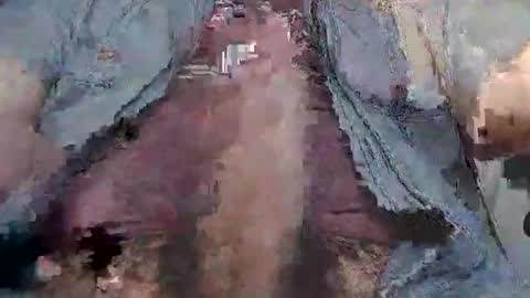 freshzozoboy online show from November 17, 6:05 am