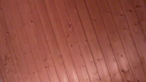 Snapshot of fromgermanywithlove1 chatting on January 23, 2:33 am fromgermanywithlove1 online show from January 23, 2:33 am