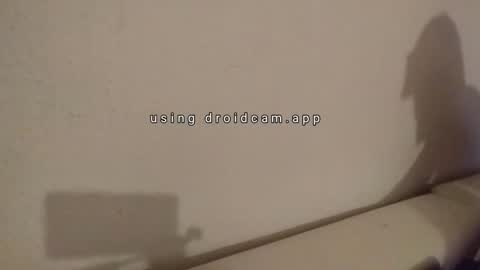 Fuckyoutied online show from October 4, 3:44 am