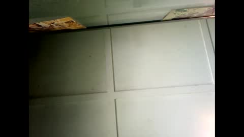 Warwick online show from February 27, 2:41 am