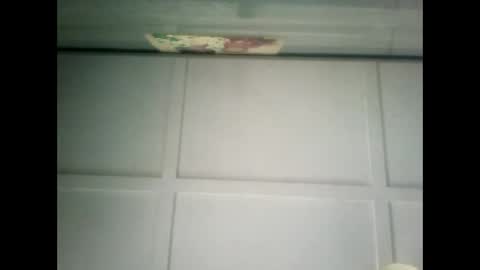 Warwick online show from February 1, 7:15 am