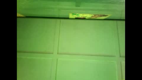 Warwick online show from December 27, 6:57 am