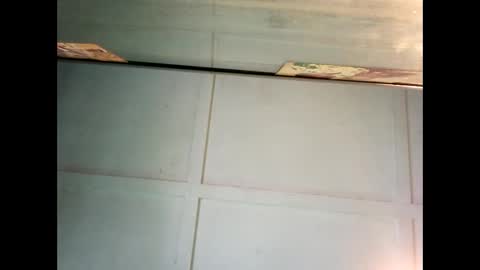 Warwick online show from December 27, 11:42 pm