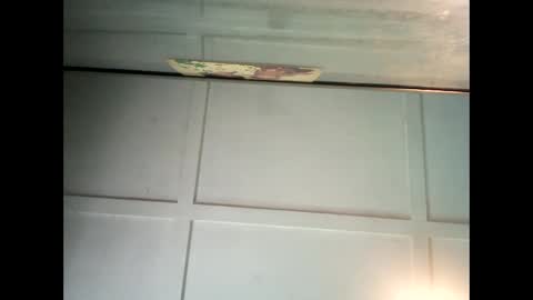 Warwick online show from January 16, 12:55 am