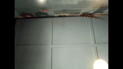 Warwick online show from September 29, 1:04 am