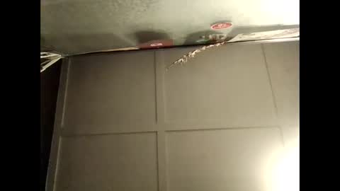 Warwick online show from October 10, 8:52 am