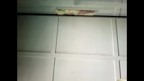 Warwick online show from February 24, 1:02 am