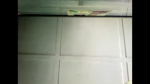 Warwick online show from December 19, 2:56 am