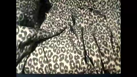 funcyman3 online show from February 18, 6:06 pm