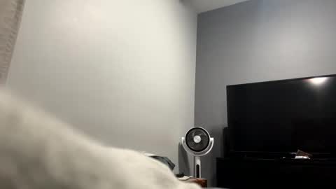 fund2021 online show from November 17, 6:44 pm