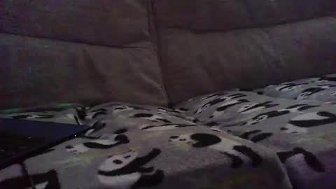 Snapshot of funslimguy chatting on December 8, 9:08 pm Funslimguy online show from December 8, 9:08 pm