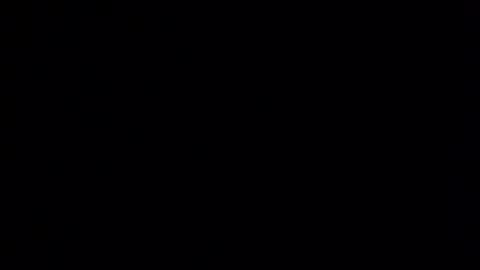 fuxwitmeornot online show from November 9, 11:25 am