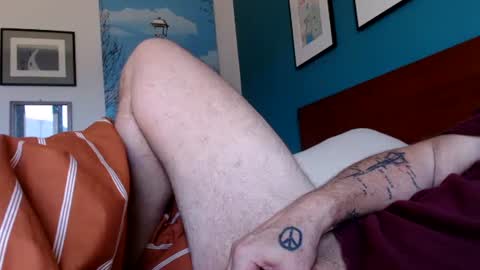 Gard online show from February 21, 8:28 am