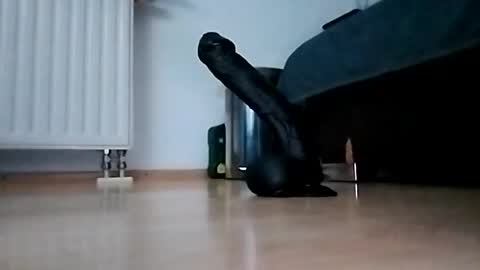 geilinator85 online show from September 21, 4:18 pm