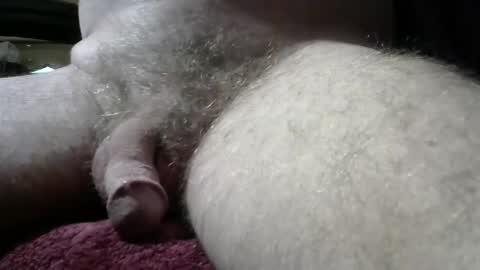 gemini_2 online show from December 14, 3:04 pm