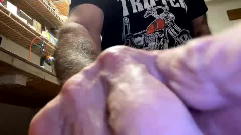 gngnxxx online show from October 23, 4:49 am