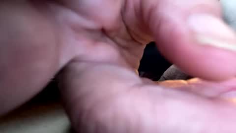 gngnxxx online show from December 22, 2:03 pm