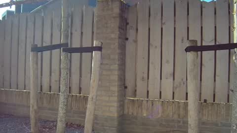 Snapshot of goldenelixxxir chatting on March 3, 11:27 am   online show from March 3, 11:27 am