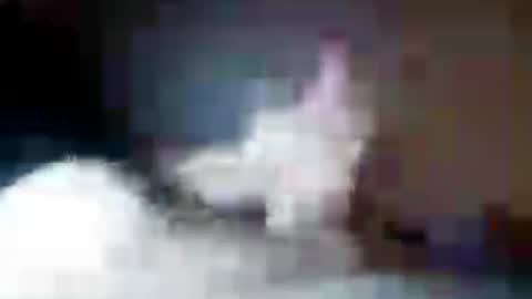 gravybaby333 online show from July 24, 8:43 am