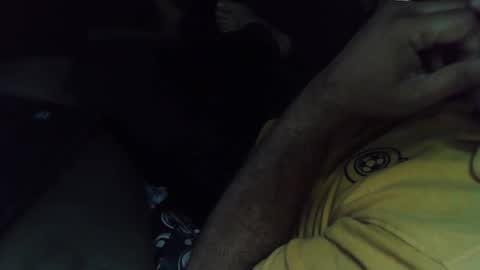 Grey Stud online show from October 8, 10:19 am