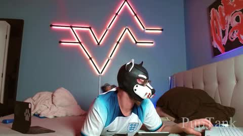 Alpha pup online show from October 22, 8:00 pm