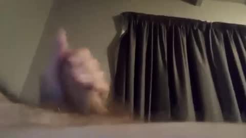 h_rd333 online show from February 16, 12:43 pm