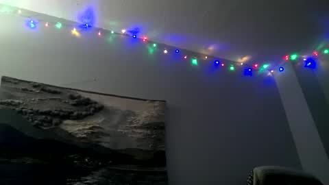 Snapshot of hairiestbear chatting on December 3, 4:13 am Hairiest Bear online show from December 3, 4:13 am