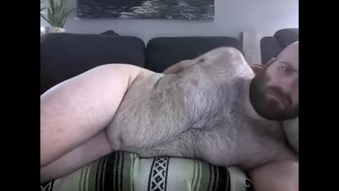 Hairiest Bear online show from March 28, 8:36 am