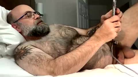 HairyDaddyBear69 online show from February 14, 2:39 am
