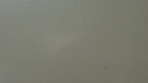 hamhead71 online show from February 7, 1:36 am