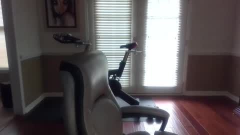 Han online show from February 8, 1:22 pm