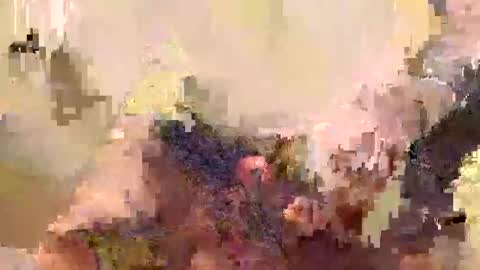 hanspeter26 online show from December 28, 6:29 pm