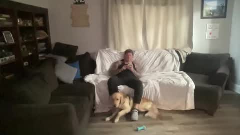 DadBod online show from November 25, 5:15 pm