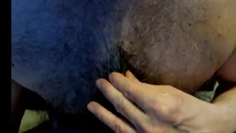 harry_banana online show from December 27, 8:50 pm