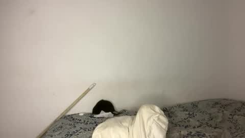 harry_p01 online show from January 29, 2:40 am