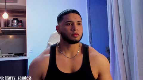 Harry Zandes online show from February 13, 4:22 am