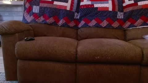 Harvey and Sonny ginger online show from December 15, 5:31 pm