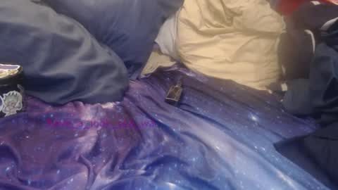 have_a_look_sea_wa online show from November 24, 5:08 am