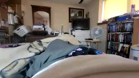 Snapshot of hawkfan1888 chatting on January 26, 5:02 pm hawkfan1888 online show from January 26, 5:02 pm