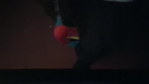 hey908730 online show from February 11, 3:08 am