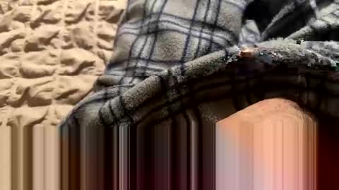 higradez online show from September 24, 8:40 pm