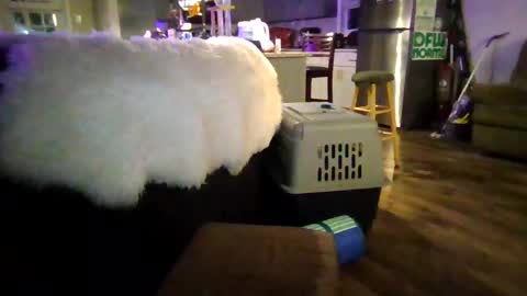 Jjjmoney93 online show from October 3, 4:17 am