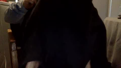 D online show from December 16, 1:51 pm