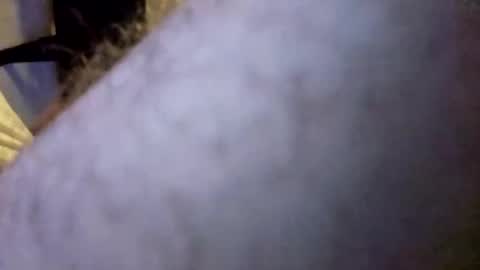 SILVERFOX90 online show from May 25, 2:40 am