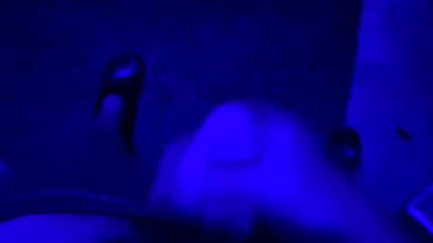 hornystroker21 online show from October 19, 1:54 am