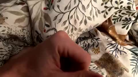 hot_for_you_ online show from November 17, 6:16 am